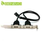 擋板型 30cm 主機板9PIN轉雙USB2.0連接線