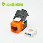 Cat6 Giga網路接頭模組