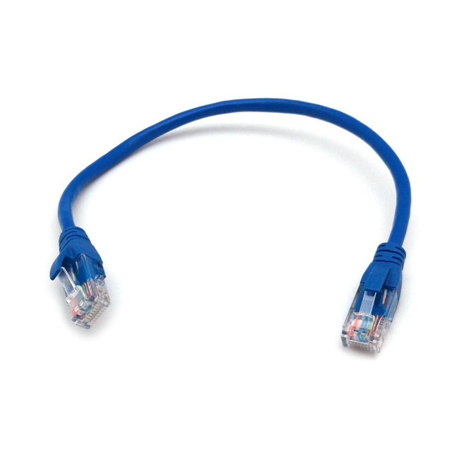 BENEVO 30cm Cat5e 網線 - RJ45 接頭特寫